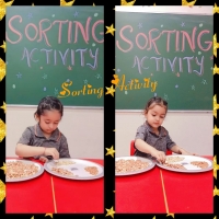 SORTING ACTIVITY