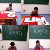 SPONGE ACTIVITY