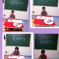 SPONGE ACTIVITY